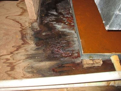 About Restoration Solutions for Water-Damaged Properties - water damage restoration experts in Belle Mina	AL
